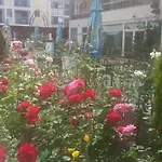 Golden Dune Hotel 4*