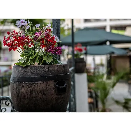 Golden Dune ホテル サニービーチ