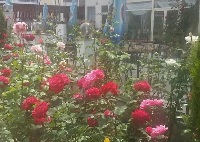 Golden Dune Отель 4*