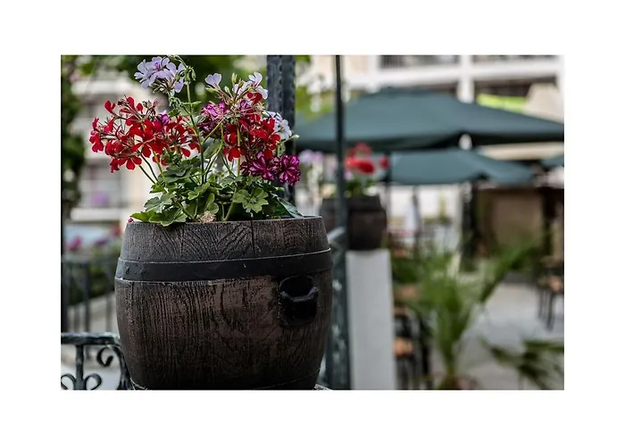 Golden Dune Отель Солнечный берег