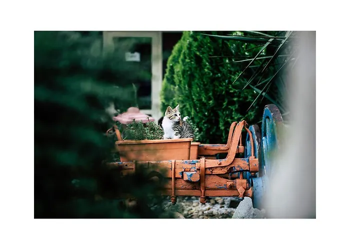 Golden Dune Отель 4*